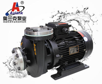 RGP-40熱壓機(jī)高溫導(dǎo)熱油泵
